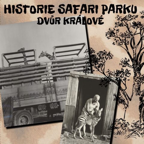 Přednáška: Historie Safari parku Dvůr Králové