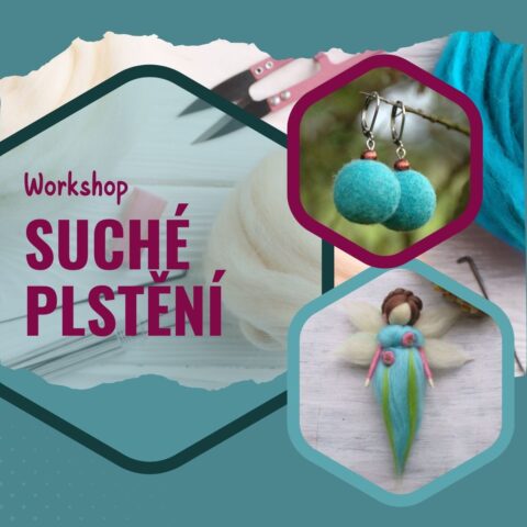 workshop: SUCHÉ PLSTĚNÍ