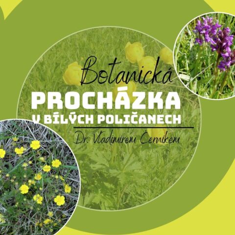 BOTANICKÁ PROCHÁZKA