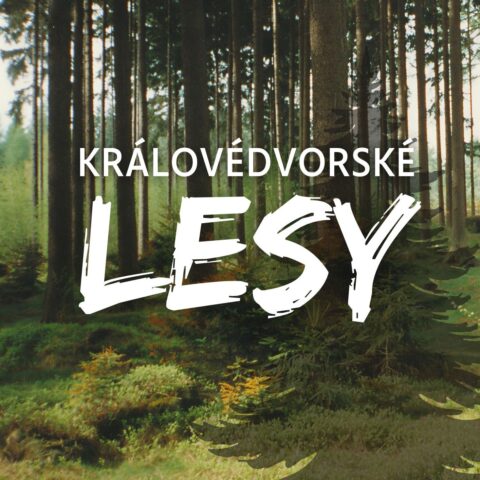 výstava: KRÁLOVÉDVORSKÉ LESY